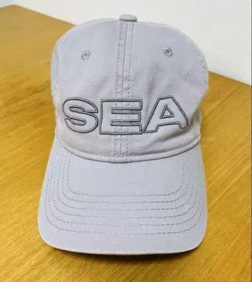 WIND AND SEA 캡 샘플