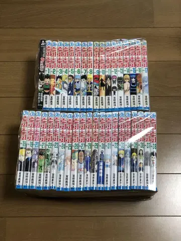 헌터헌터 HUNTER x HUNTER 전권 세트 관련 도서 1권
