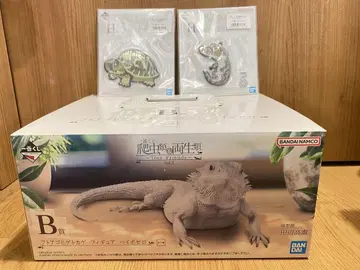 제일복권 파충류&양서류 B상 비어디드래곤 피규어 하이포제로