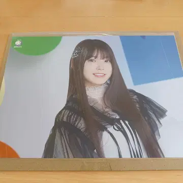 노기자카46 13th 바스라 A3 포스터 요리 모리히라 레이신