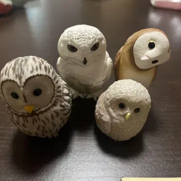 프렌즈 ~올빼미~