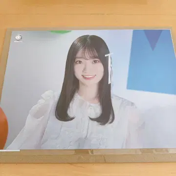 노기자카46 13th 바스라 A3 포스터 요리 아타고 코쿄