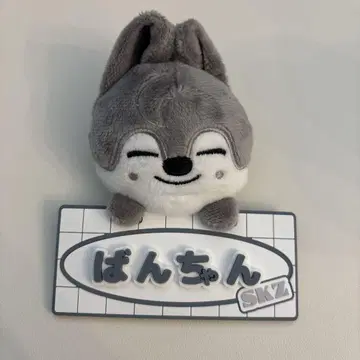 SKZ 울프찬 네임 백참