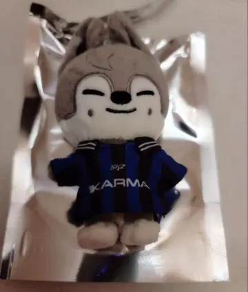 Stray Kids 스키즈 KARMA SKZOO 방찬 울프찬
