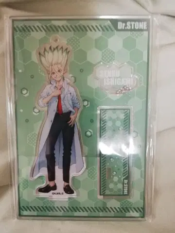 Dr.STONE 이시가미 센쿠 점프 페스타 아크릴 스탠드 키링