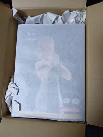 미개봉 새상품 figma 젤다 티어스 오브 더 킹덤ver.