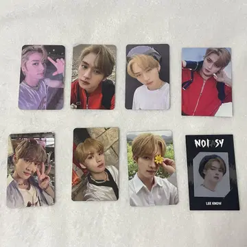 straykids skz noeasy 리노 트레이딩 카드 모음