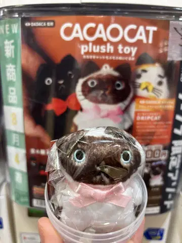 카카오캣 모후모후 봉제 인형 가챠 샴 #C-pla 한정판