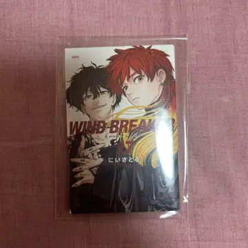 WIND BREAKER 17권 마그넷 타키시야 토도 사이토