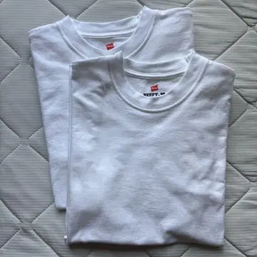 Hanes 헤인즈 BEEFY-T 비피티 2장 세트