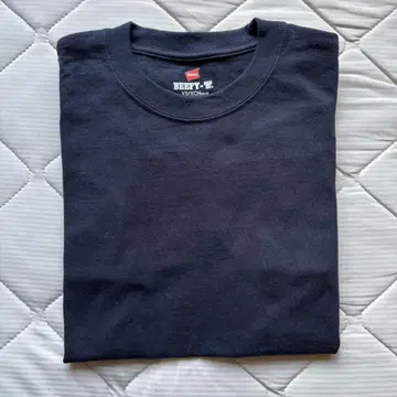 Hanes 헤인즈 BEEFY-T 2장 세트