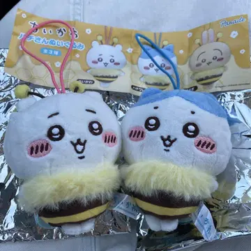 치이카와 하치와레 하치 씨