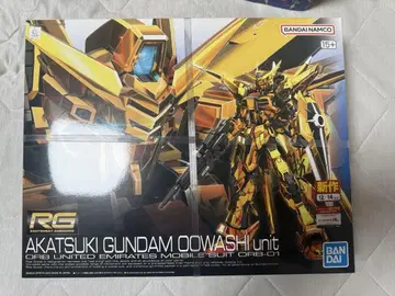 RG 1/144 아카츠키 건담