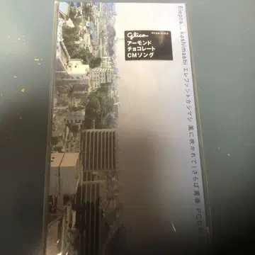 미개봉 새상품 엘리펀트 오크 바람에 날리다