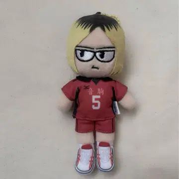하이큐 플라자 지로리 코즈메 켄마