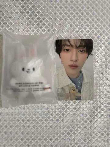 리노 마이크로 키링 stray kids 리 비트 skzoo