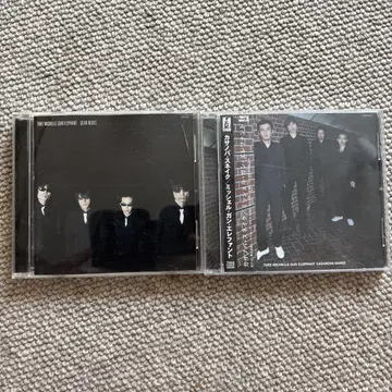 THEE MICHELLE GUN ELEPHANT 앨범 2장