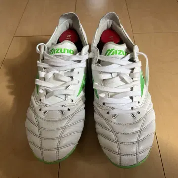 모렐리아 네오 4 교체 MIX 25.0cm