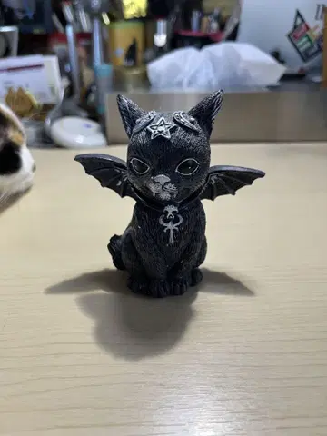 깃털 악마 고양이