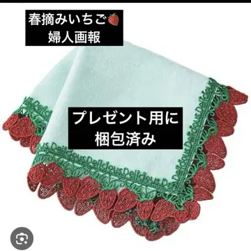 치카자와 레이스 봄 수확 딸기 여성화보