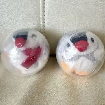 PINGU 봉제 인형 2종 핑가 컴프 세트 핑구 가챠가챠