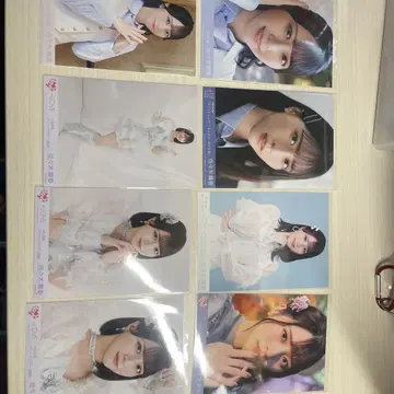 사사키 마이카 브로마이드