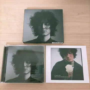 후지이 카제 HELP EVER HURT NEVER 앨범 초회반 2CD