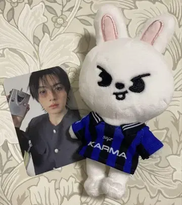 straykids 리노 KARMA skzoo 리비트
