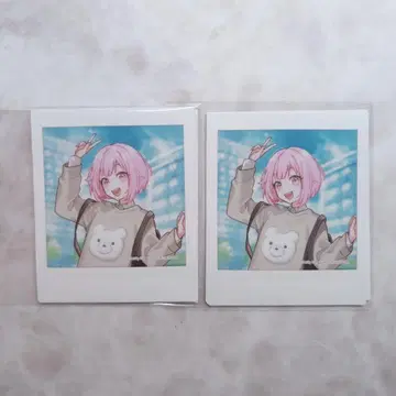 프로세카 호우 에무 묶음 판매