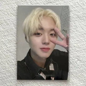 박지훈 트레이딩 카드 MESSAGE 타워 레코드 혜택