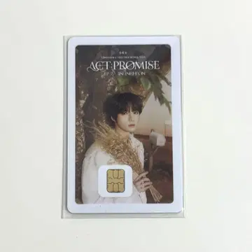 TXT BEOMGYU 보무규 나마네카드 NAMANECARD 미사용