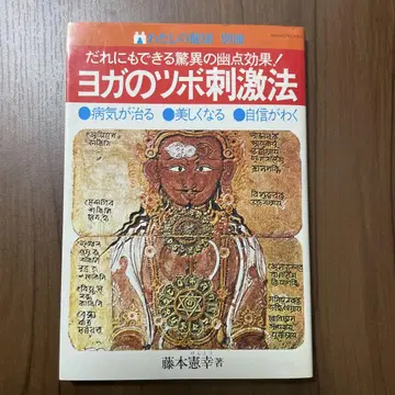 요가의 혈자리 자극법 저자 후지모토 노리유키