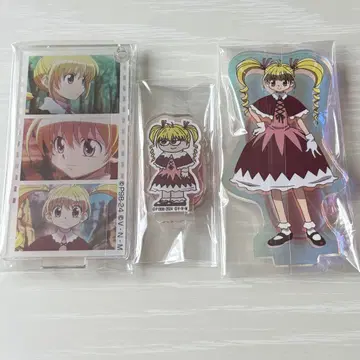 HUNTER x HUNTER 비스케 니테레야