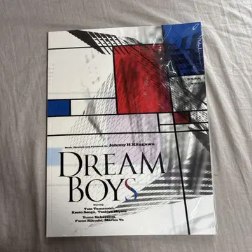 DREAM BOYS 2015 팜플렛