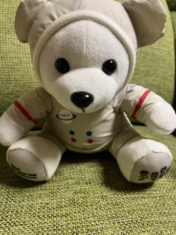 CNBLUE 우주복 곰 bea supernova 투어