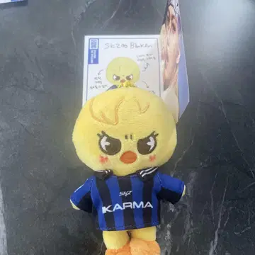 스키즈 skzoo 포가리 필릭스 카르마 봉제 인형