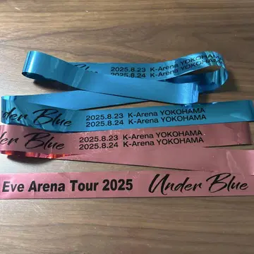 Eve Arena Tour 2025 K아레나 요코하마 은테이프 2개