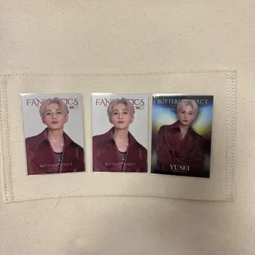 야기 유세이 포토 카드