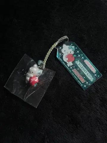 [ 희귀 레어 ] 신슈 한정판 지역 한정 키티 차미키티 사과 끈 스트랩