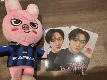 straykids KARMA skzoovr. 돼끼 스키즈
