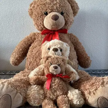 브라운 봉제 인형 3체 세트