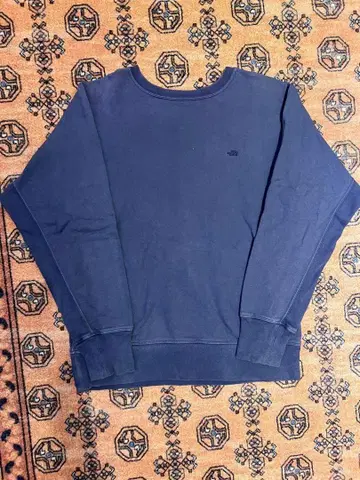 THE NORTH FACE PURPLE LABEL 크루넥 맨투맨