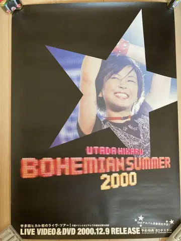 우타다 히카루 보헤미안 썸머 2000 포스터