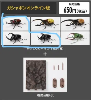 생물대도감 장수풍뎅이 09 온라인판 3점