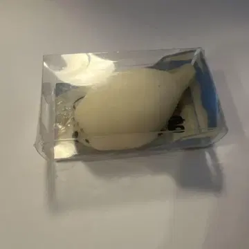 말랑말랑 물범 군