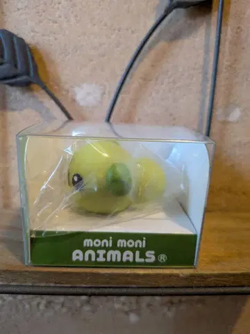 moni moni ANIMALS 한정품 콩 시바 (외부 박스 접기 포장)