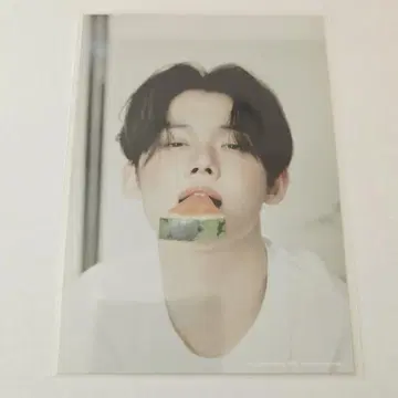 영준 L판 사진 FC 한정판