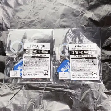 머리글자 D 드리미 복권 페이스 참 나카자토 타케시