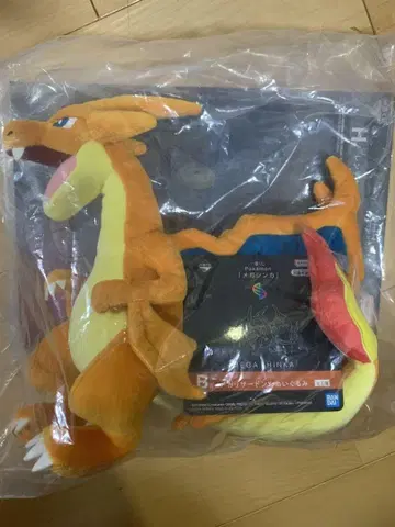 제일복권 메가진화 메가리자몽Y