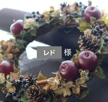 레드 님